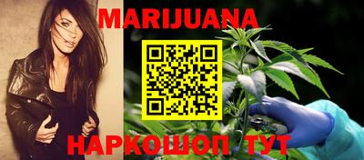 шишки Свободный