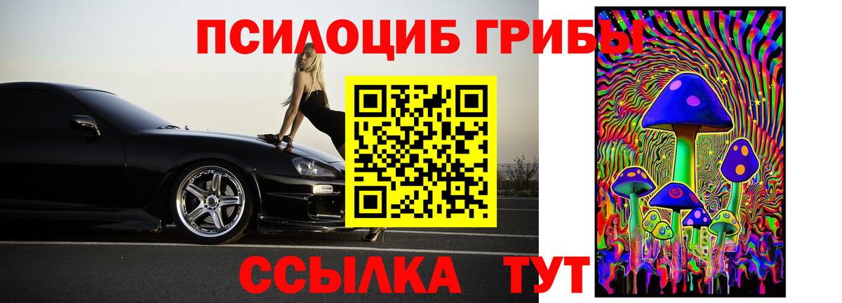 Алушта  Псилоцибиновые грибы Cubensis  Вход с VPN 